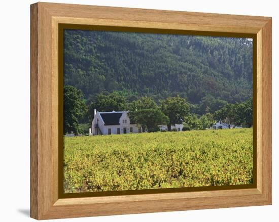 House in the Wine Growing Area of Franschhoek, Cape Province, South Africa, Africa-Yadid Levy-Framed Premier Image Canvas