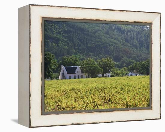 House in the Wine Growing Area of Franschhoek, Cape Province, South Africa, Africa-Yadid Levy-Framed Premier Image Canvas