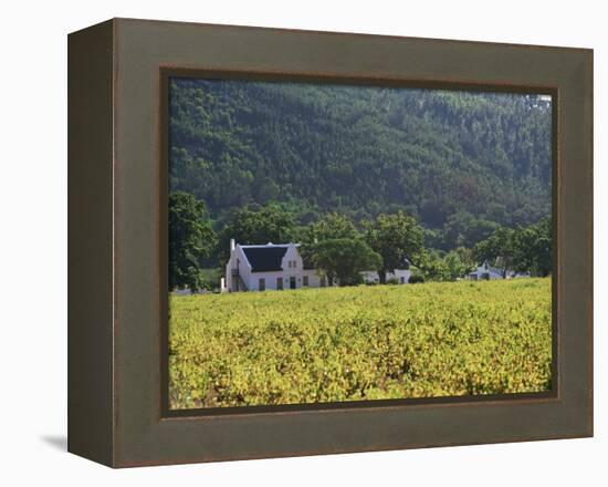 House in the Wine Growing Area of Franschhoek, Cape Province, South Africa, Africa-Yadid Levy-Framed Premier Image Canvas