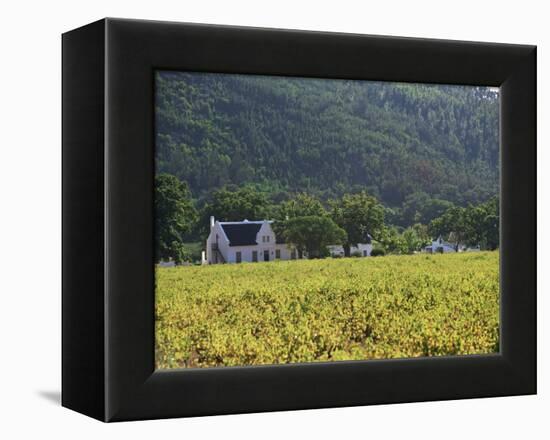 House in the Wine Growing Area of Franschhoek, Cape Province, South Africa, Africa-Yadid Levy-Framed Premier Image Canvas