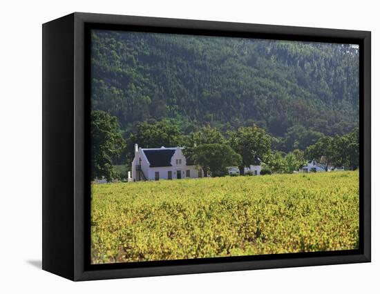 House in the Wine Growing Area of Franschhoek, Cape Province, South Africa, Africa-Yadid Levy-Framed Premier Image Canvas