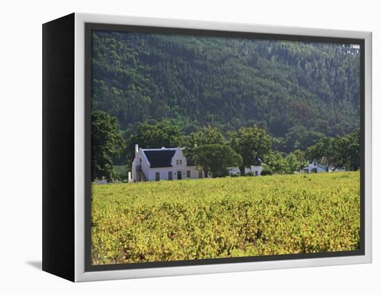 House in the Wine Growing Area of Franschhoek, Cape Province, South Africa, Africa-Yadid Levy-Framed Premier Image Canvas