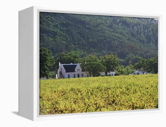 House in the Wine Growing Area of Franschhoek, Cape Province, South Africa, Africa-Yadid Levy-Framed Premier Image Canvas