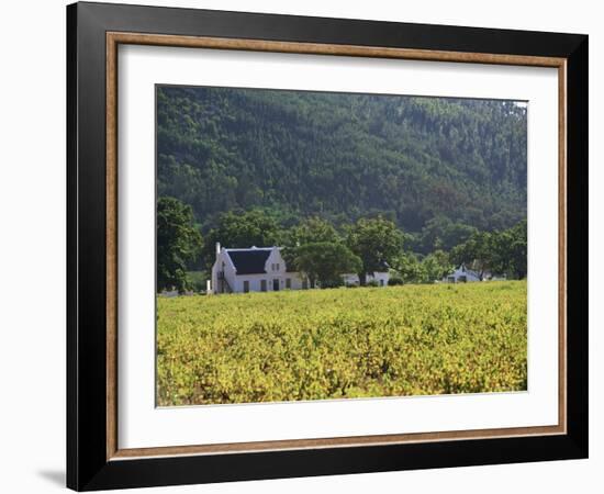 House in the Wine Growing Area of Franschhoek, Cape Province, South Africa, Africa-Yadid Levy-Framed Photographic Print