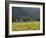 House in the Wine Growing Area of Franschhoek, Cape Province, South Africa, Africa-Yadid Levy-Framed Photographic Print