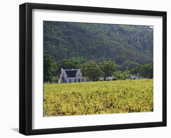 House in the Wine Growing Area of Franschhoek, Cape Province, South Africa, Africa-Yadid Levy-Framed Photographic Print