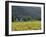 House in the Wine Growing Area of Franschhoek, Cape Province, South Africa, Africa-Yadid Levy-Framed Photographic Print