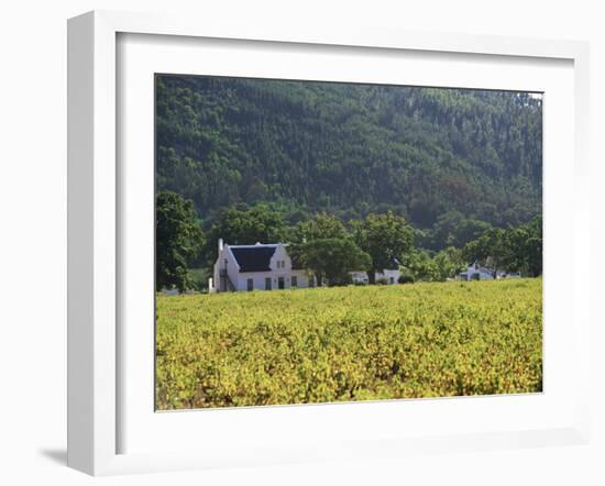 House in the Wine Growing Area of Franschhoek, Cape Province, South Africa, Africa-Yadid Levy-Framed Photographic Print