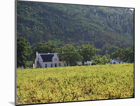 House in the Wine Growing Area of Franschhoek, Cape Province, South Africa, Africa-Yadid Levy-Mounted Photographic Print