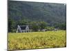 House in the Wine Growing Area of Franschhoek, Cape Province, South Africa, Africa-Yadid Levy-Mounted Photographic Print