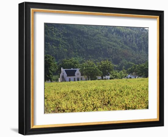 House in the Wine Growing Area of Franschhoek, Cape Province, South Africa, Africa-Yadid Levy-Framed Photographic Print