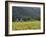 House in the Wine Growing Area of Franschhoek, Cape Province, South Africa, Africa-Yadid Levy-Framed Photographic Print