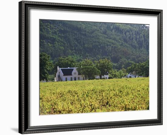 House in the Wine Growing Area of Franschhoek, Cape Province, South Africa, Africa-Yadid Levy-Framed Photographic Print