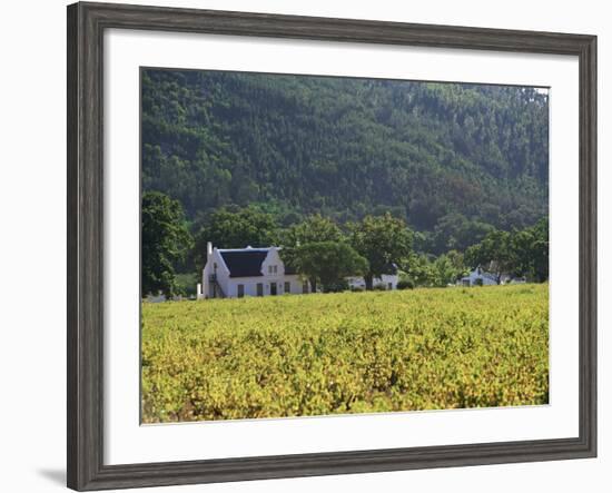 House in the Wine Growing Area of Franschhoek, Cape Province, South Africa, Africa-Yadid Levy-Framed Photographic Print