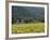 House in the Wine Growing Area of Franschhoek, Cape Province, South Africa, Africa-Yadid Levy-Framed Photographic Print