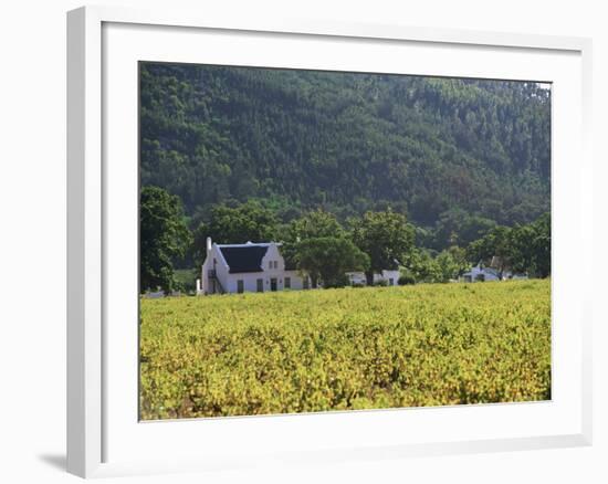 House in the Wine Growing Area of Franschhoek, Cape Province, South Africa, Africa-Yadid Levy-Framed Photographic Print