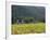 House in the Wine Growing Area of Franschhoek, Cape Province, South Africa, Africa-Yadid Levy-Framed Photographic Print