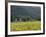 House in the Wine Growing Area of Franschhoek, Cape Province, South Africa, Africa-Yadid Levy-Framed Photographic Print