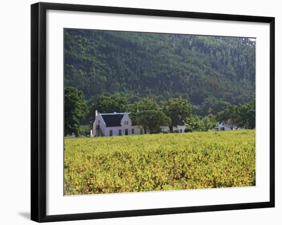 House in the Wine Growing Area of Franschhoek, Cape Province, South Africa, Africa-Yadid Levy-Framed Photographic Print