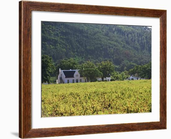 House in the Wine Growing Area of Franschhoek, Cape Province, South Africa, Africa-Yadid Levy-Framed Photographic Print