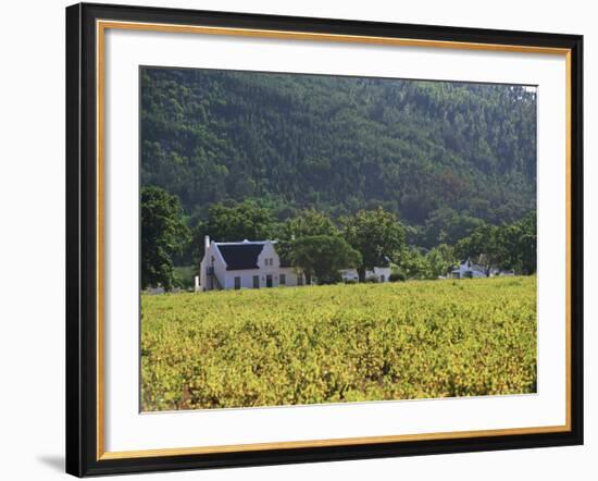 House in the Wine Growing Area of Franschhoek, Cape Province, South Africa, Africa-Yadid Levy-Framed Photographic Print