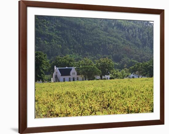 House in the Wine Growing Area of Franschhoek, Cape Province, South Africa, Africa-Yadid Levy-Framed Photographic Print