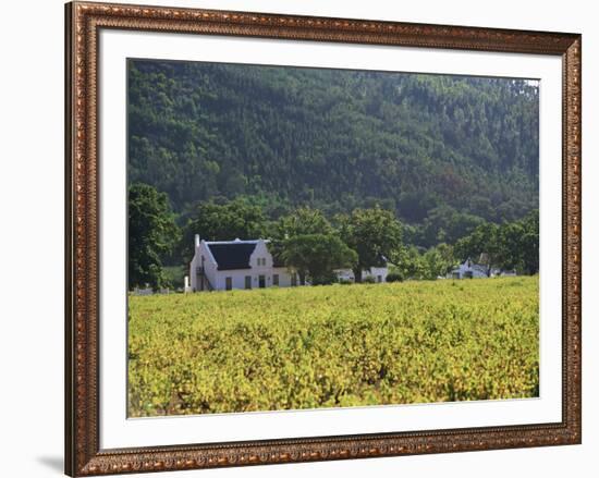 House in the Wine Growing Area of Franschhoek, Cape Province, South Africa, Africa-Yadid Levy-Framed Photographic Print