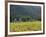 House in the Wine Growing Area of Franschhoek, Cape Province, South Africa, Africa-Yadid Levy-Framed Photographic Print