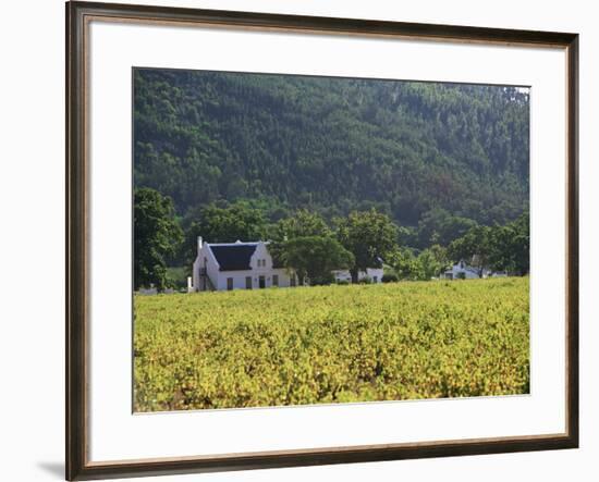 House in the Wine Growing Area of Franschhoek, Cape Province, South Africa, Africa-Yadid Levy-Framed Photographic Print
