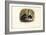 House Mouse, 1863-79-Raimundo Petraroja-Framed Giclee Print