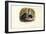 House Mouse, 1863-79-Raimundo Petraroja-Framed Giclee Print
