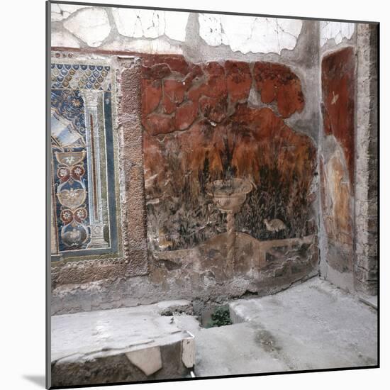 House of the Mosaic of Neptune and Amphitrite, Italy-Werner Forman-Mounted Photographic Print