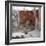 House of the Mosaic of Neptune and Amphitrite, Italy-Werner Forman-Framed Photographic Print