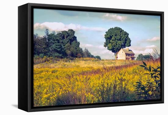 House on a Hill-John Rivera-Framed Premier Image Canvas