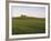 House on Grassy Hill-Dennis Degnan-Framed Photographic Print