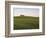 House on Grassy Hill-Dennis Degnan-Framed Photographic Print