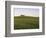 House on Grassy Hill-Dennis Degnan-Framed Photographic Print