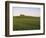 House on Grassy Hill-Dennis Degnan-Framed Photographic Print