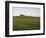 House on Grassy Hill-Dennis Degnan-Framed Photographic Print