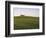 House on Grassy Hill-Dennis Degnan-Framed Photographic Print