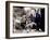 House on Haunted Hill, Vincent Price, 1959-null-Framed Photo