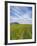 House on the Meadow of Wild Flowers, Iceland-Keren Su-Framed Photographic Print