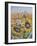 House Sparows with Sunflowers-Charlsie Kelly-Framed Giclee Print