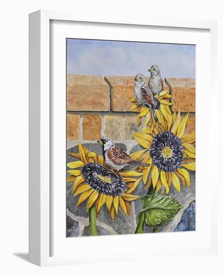 House Sparows with Sunflowers-Charlsie Kelly-Framed Giclee Print