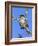 House Sparrow (Passer Domesticus), United Kingdom, Europe-Ann & Steve Toon-Framed Photographic Print