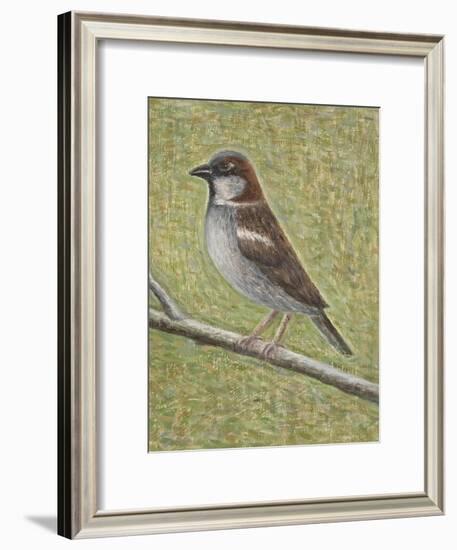 House Sparrow-Ruth Addinall-Framed Giclee Print