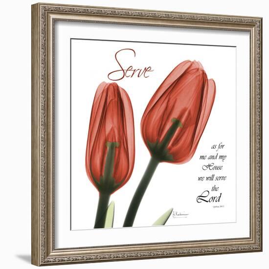 House Tulips-Albert Koetsier-Framed Photographic Print