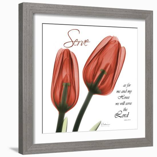 House Tulips-Albert Koetsier-Framed Photographic Print