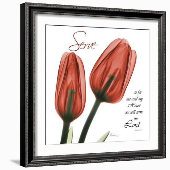 House Tulips-Albert Koetsier-Framed Photographic Print