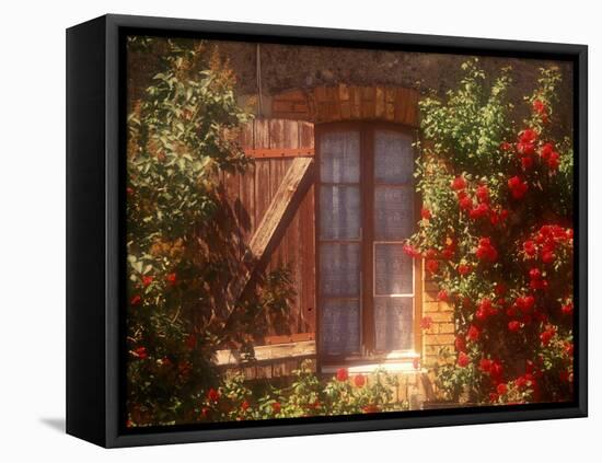 House with Summer Roses in Bloom, Vaucluse, France-Walter Bibikow-Framed Premier Image Canvas